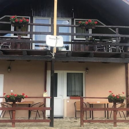 Casa Albert Valea Avrigului Exterior foto